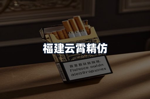 福建云霄精仿
